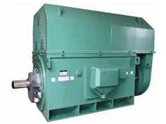 龙湖Y系列6KV高压电机